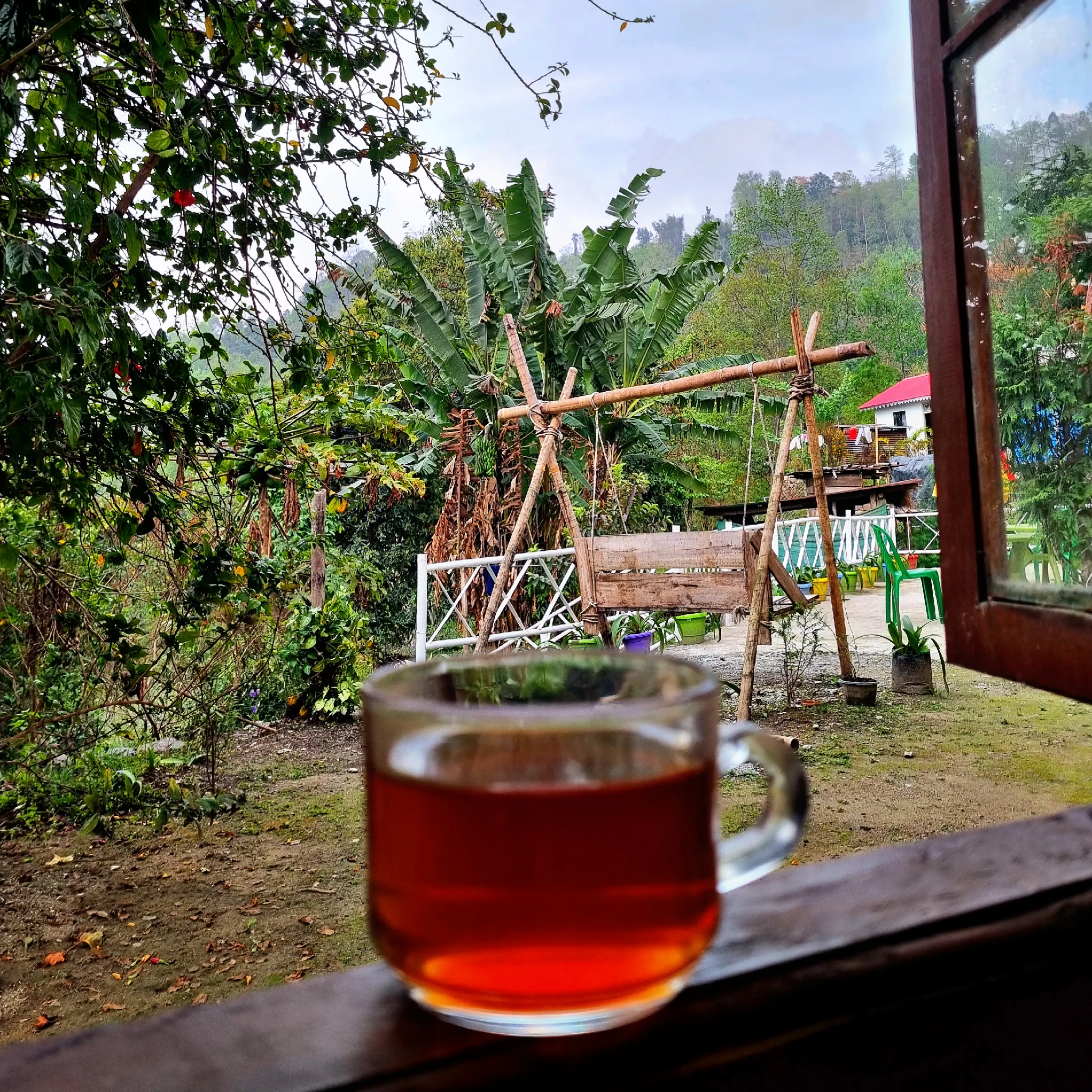 Darjeeling Gangtok